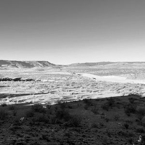 Meet your Posher, Joel